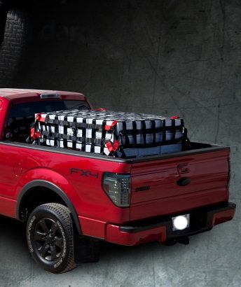 quarantine_restraint